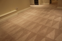 3- Carpet clean