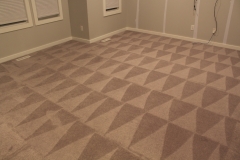 3.1 - Carpet clean