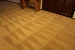 3.2 - Carpet clean