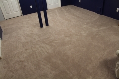 3.6 -carpet
