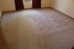5-carpet