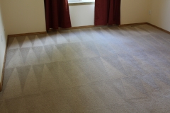 6-carpet