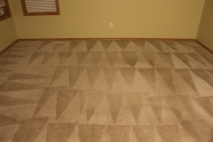 8-carpet