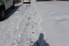 37-snow_removal