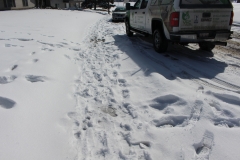 39-snow_removal