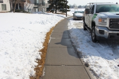 40-snow_removal